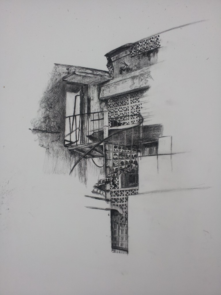 compressed charcoal drawing on somerset paper, 2013