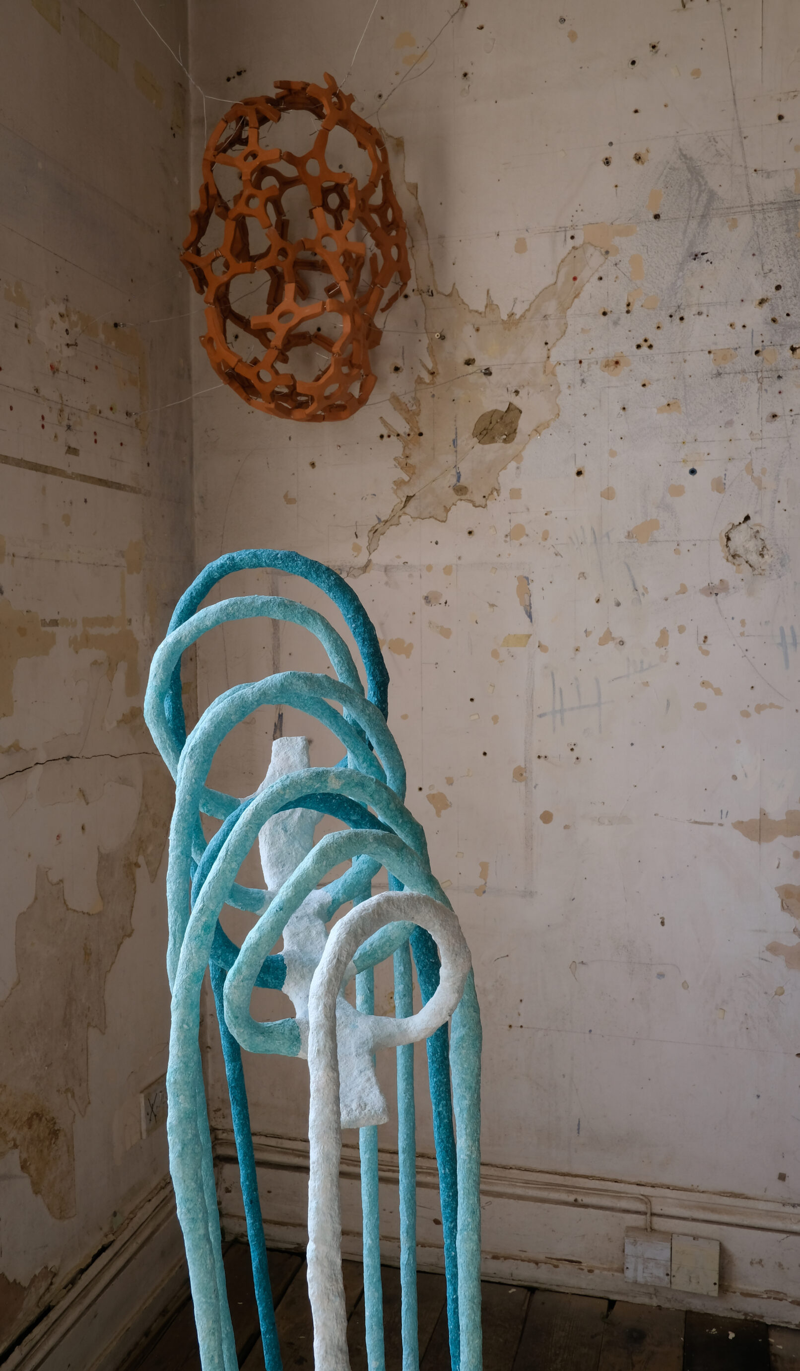 From top: Johanna Bolton, Eleanor Bedlow