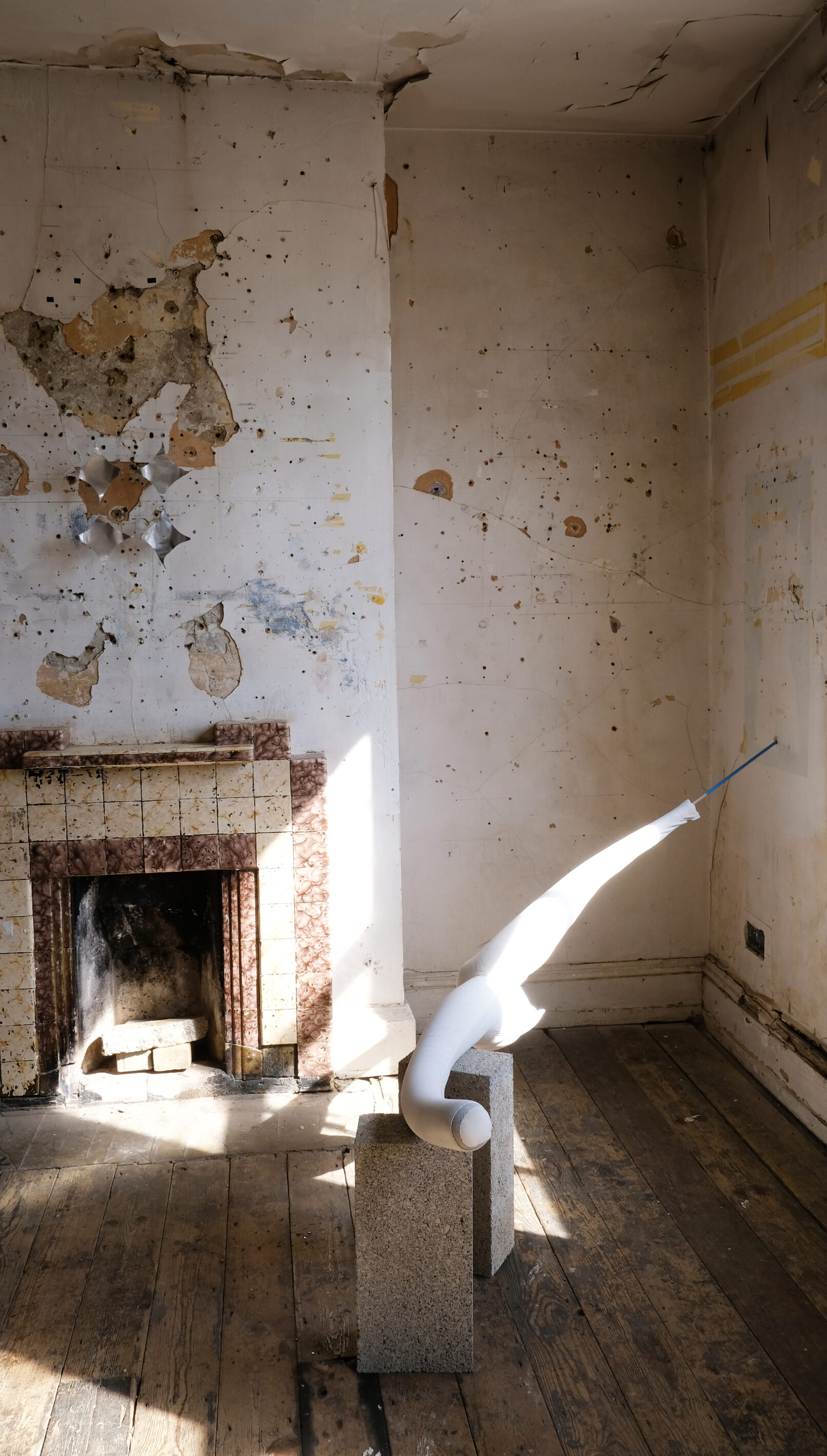 From left: Bijan Amini-Alavijeh, Helen Barff